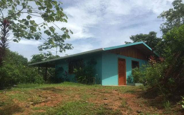 Room-villa With Primary Forest View