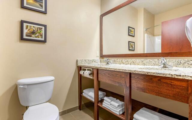Comfort Inn & Suites Davenport - Quad Cities