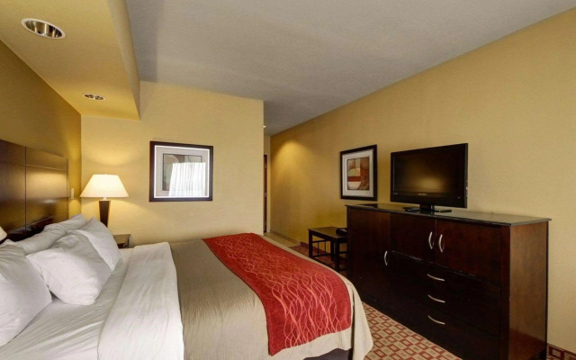 Comfort Inn & Suites Donna near I-2