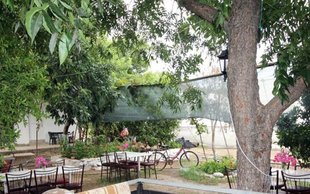 Gold Altinkaya Camping Apart