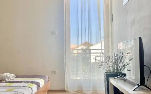 Apartment Anic Milic
