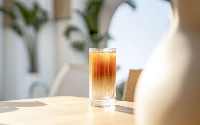 Voger Alacatı Koyici