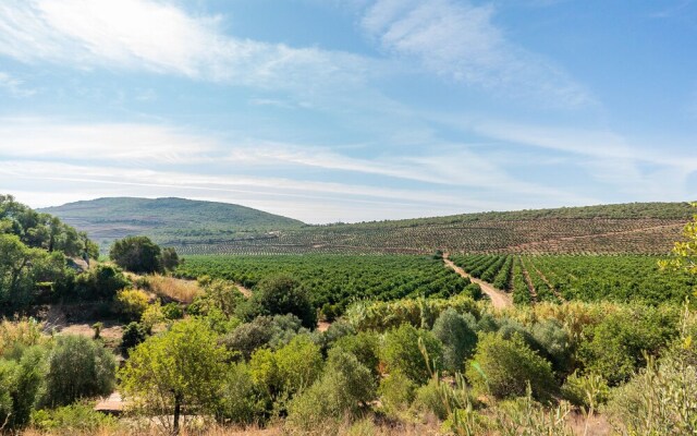 Safari Tent With Private Pool in Albufeira