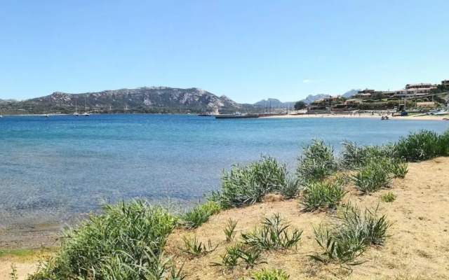Mediterraneo
