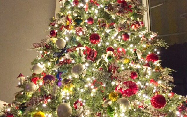 Le Pinette Bed and Breakfast