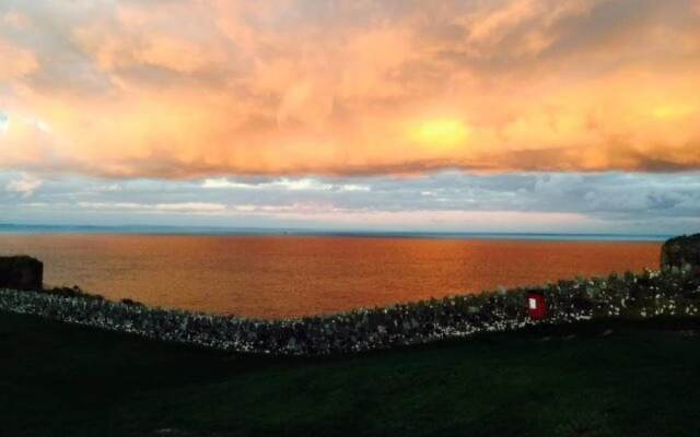 Driftwood B&B