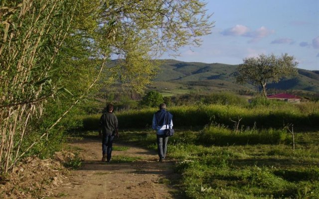 Quinta do Barracão da Vilariça