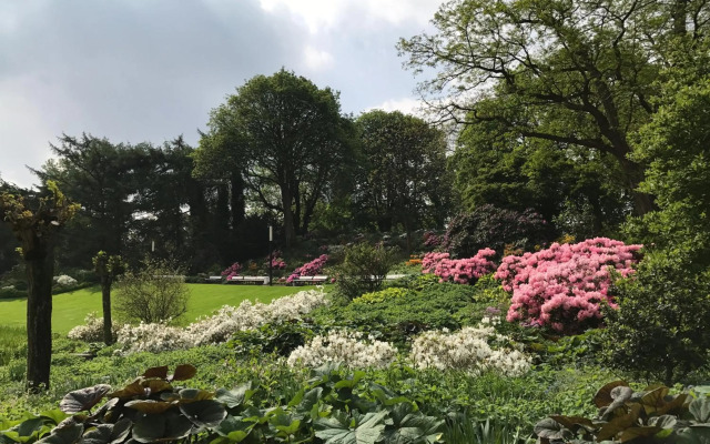 The Suites City Lofts at the Park