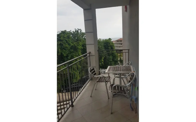 Hotel Paun