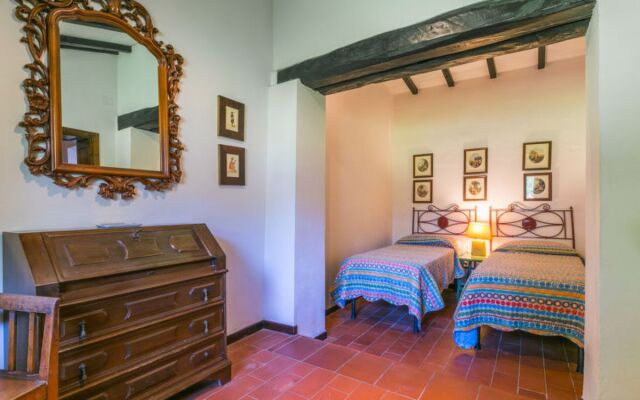 Bardeggiano - Caterina 4 (COL247)