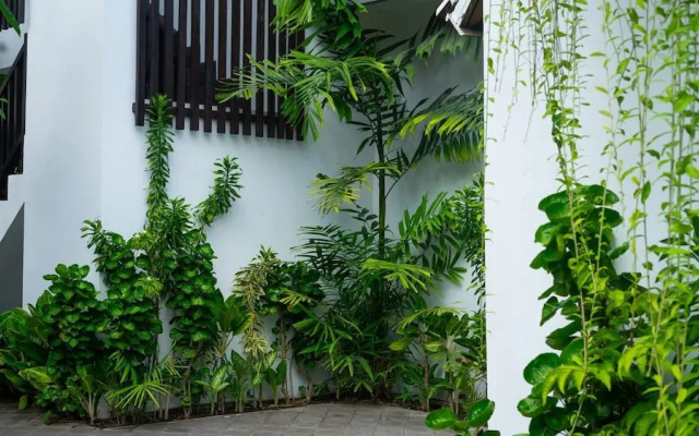 Summer of Surf Hostel Uluwatu