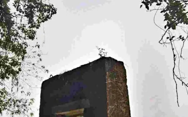 Yingxi Peak Forest Corridor Xingxiwei Homestay