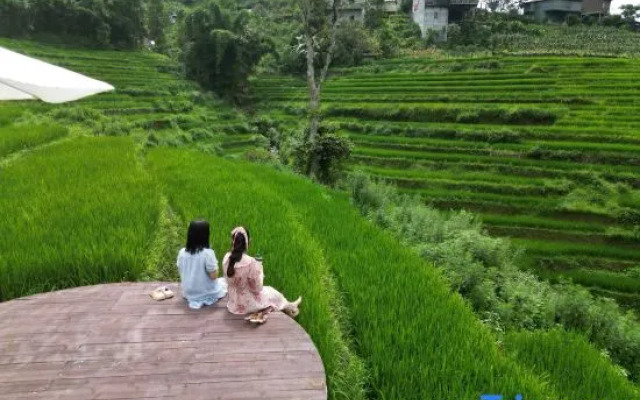 MT House SaPa