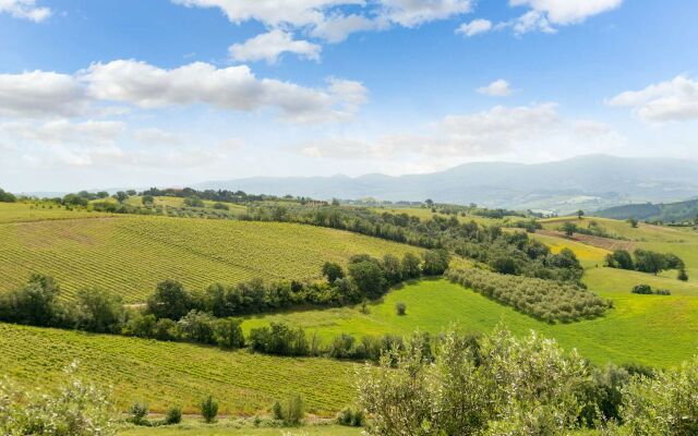 Tenuta Pianirossi