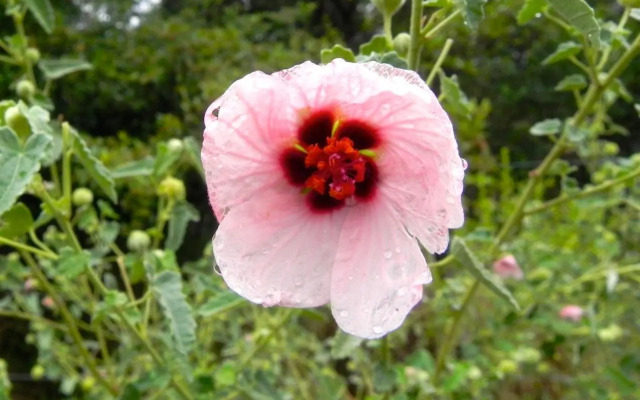 Tierra Sagrada Eco Lodge