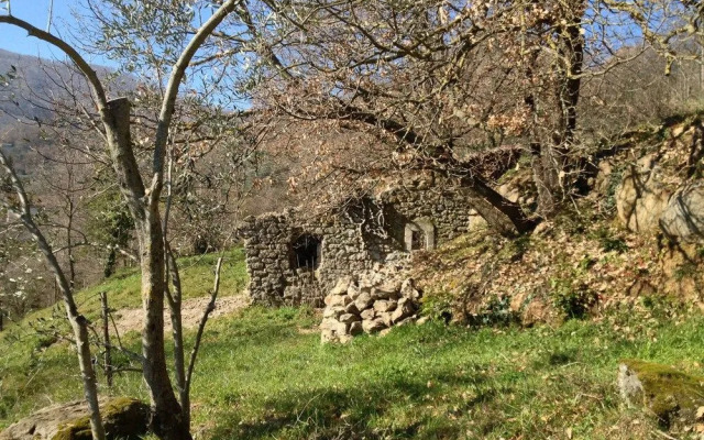 Podere Pontepietra