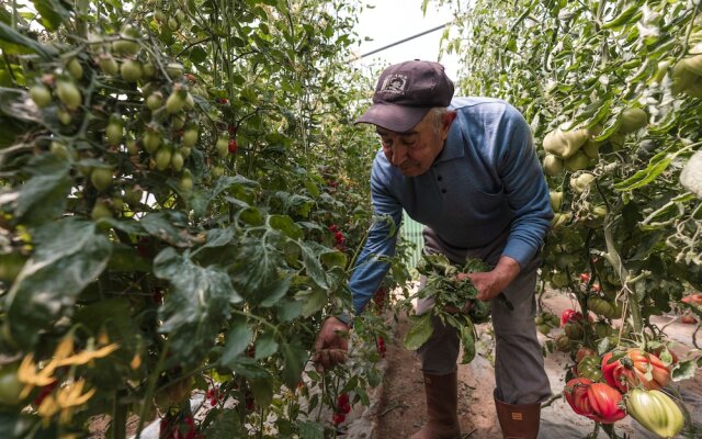 Calacala rooms, restaurant & farm experience