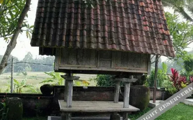 Shima House