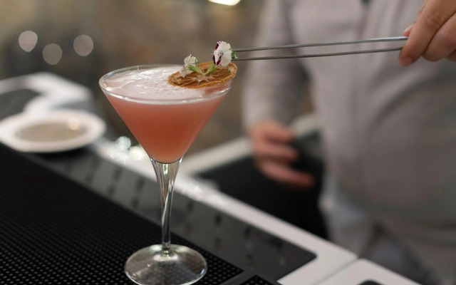 Hotel Tonic