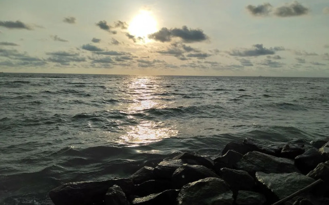 Oyo 287 Hotel Nelly Marine