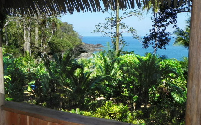 Copa De Arbol Beach & Rainforest Resort
