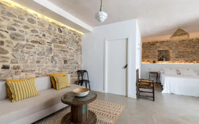 Erizo 4 Estudio en el Centro Histórico