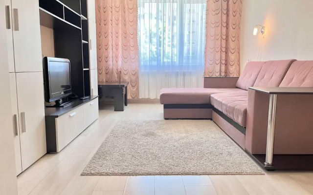 Apartments on Pushkin street 23