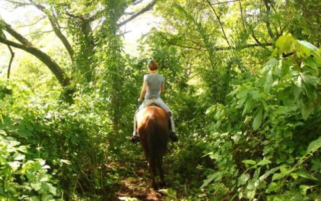 Hato Nuevo Ecolodge