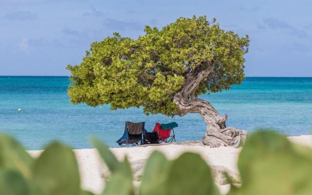 Experience the Groovy Harbour House Lifestyle