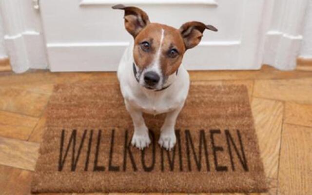 Schulstr. 2, Ahlbeck Whg Am Park