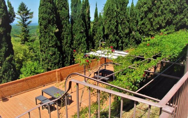 San Vivaldo, Nr. 12 (MOI135)