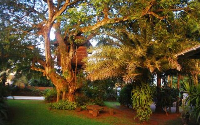 Tree Lodge Mauritius