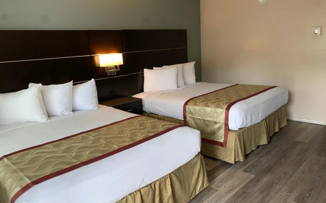 Olive Tree inn & Suites