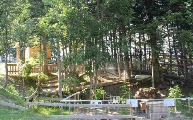 Résidence Les Blanches Provençales