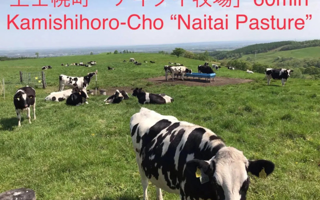 テラス民泊モモ