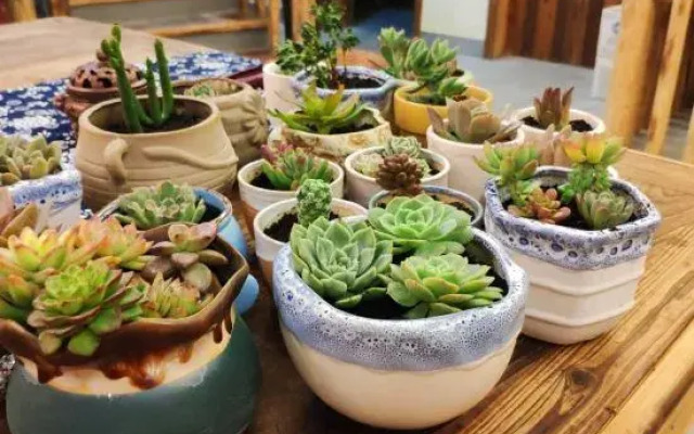 Tiantai ManXiuShe Homestay