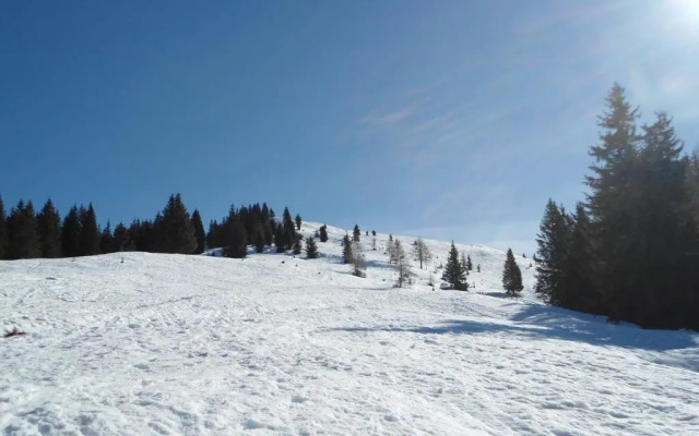 Appartamenti Patrizia