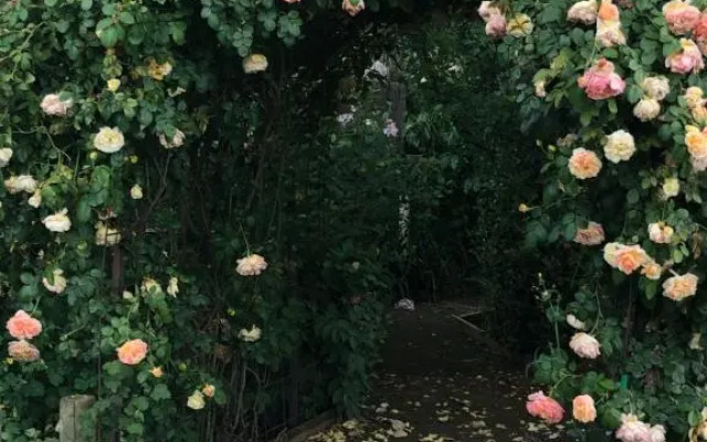 Barklysuites Apartments