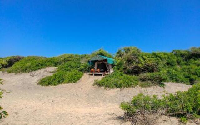 Back of Beyond Dune Camp - Yala