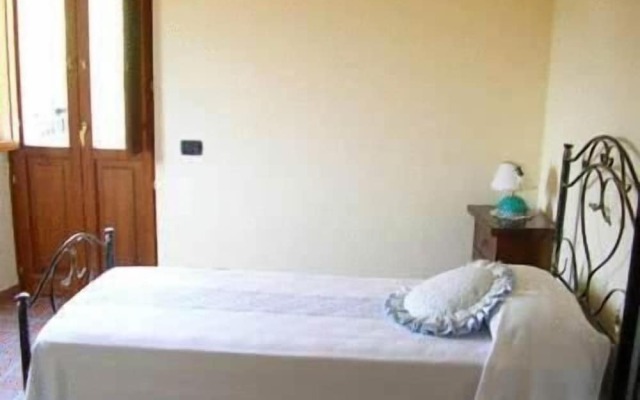 La Cicala