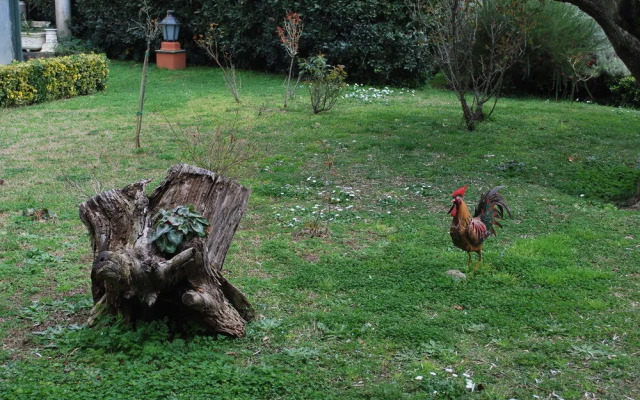 Residence Casale Mostacciano