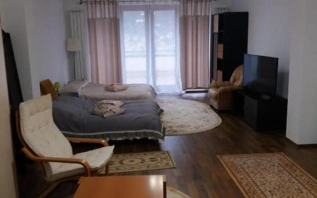 Busteni Mountain Suites