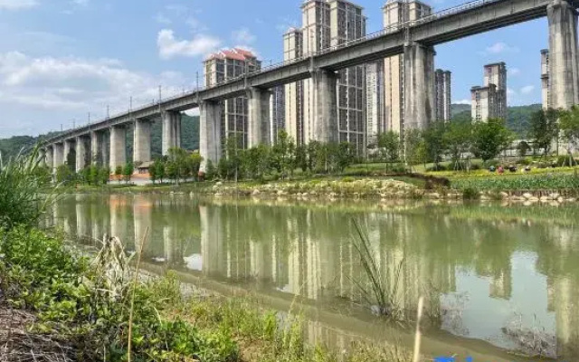 Longyan Xingwang Hot Spring Hotel