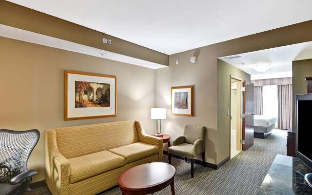 Hilton Garden Inn Tampa Northwest/Oldsmar