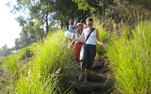 Blackberry Hills Munnar - Nature Resort & Spa