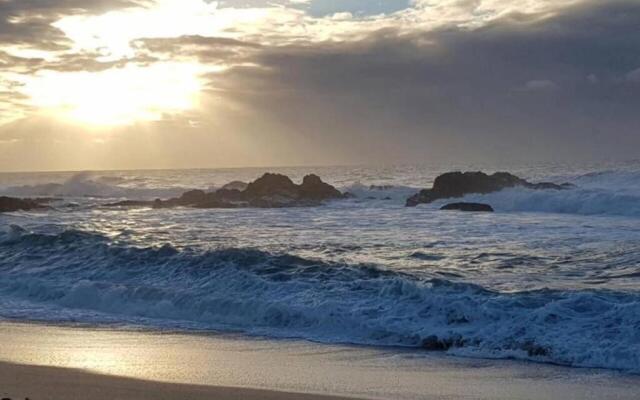 On the Beach Living! 12 Calamari