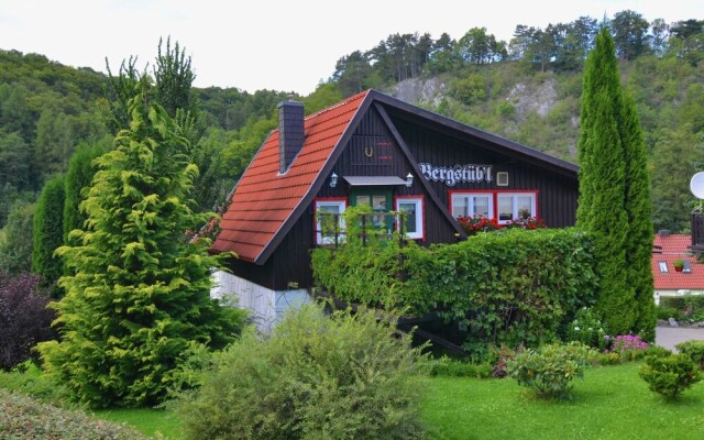 Quaint Holiday Home in Elbingerode near Forest