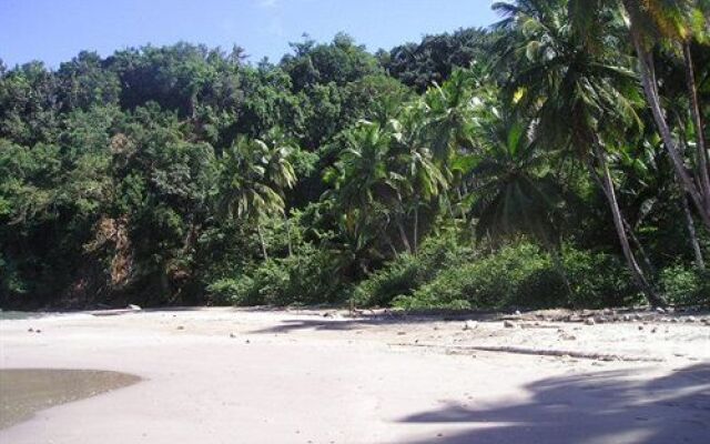 Dominica's Sea View Apartment