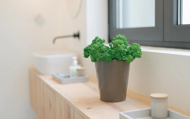 Retreat to a Stylish Concept House in Porto