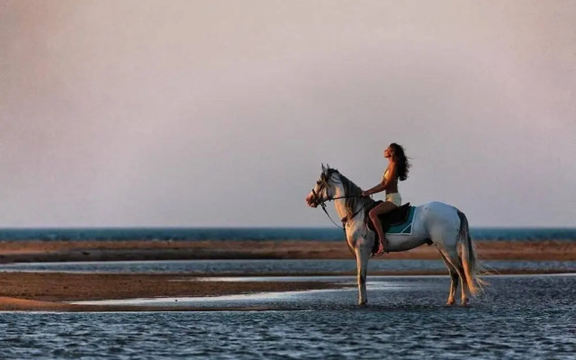 Boulevard Apartment Hotel